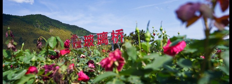 健伟2号店铺